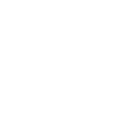 NK Team logo