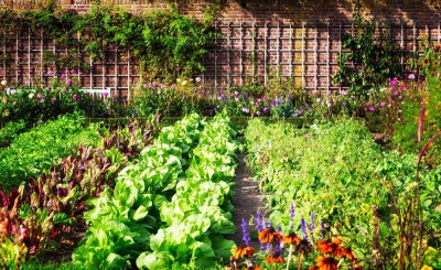 Spring Gardening Tricks That Work